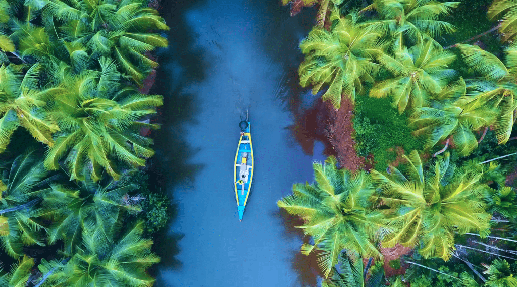 Aerial view of Kerala's backwater with surrounded coconut trees and a river, and in center there is a long tail boat.