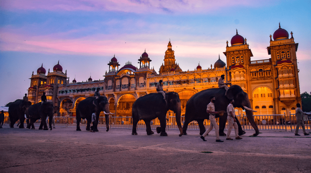 A herd of elephants strolling in front of a majestic Mysuru Palace.
