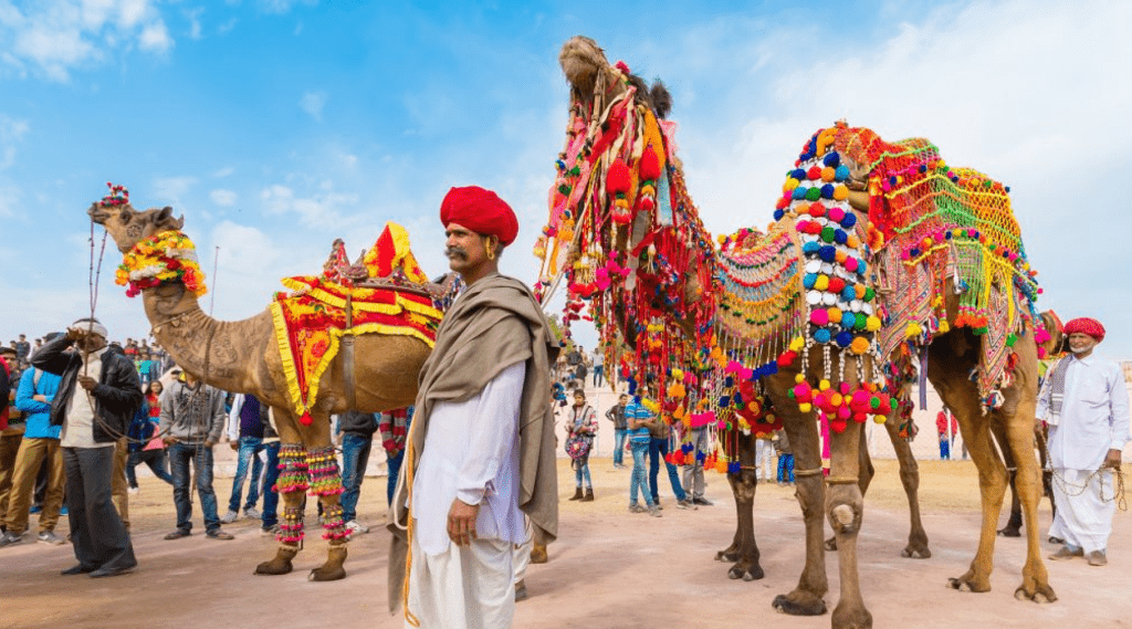 A man in Indian attire stands gracefully beside two camels, showcasing cultural diversity and traditional transportation in Pushkar Mela.