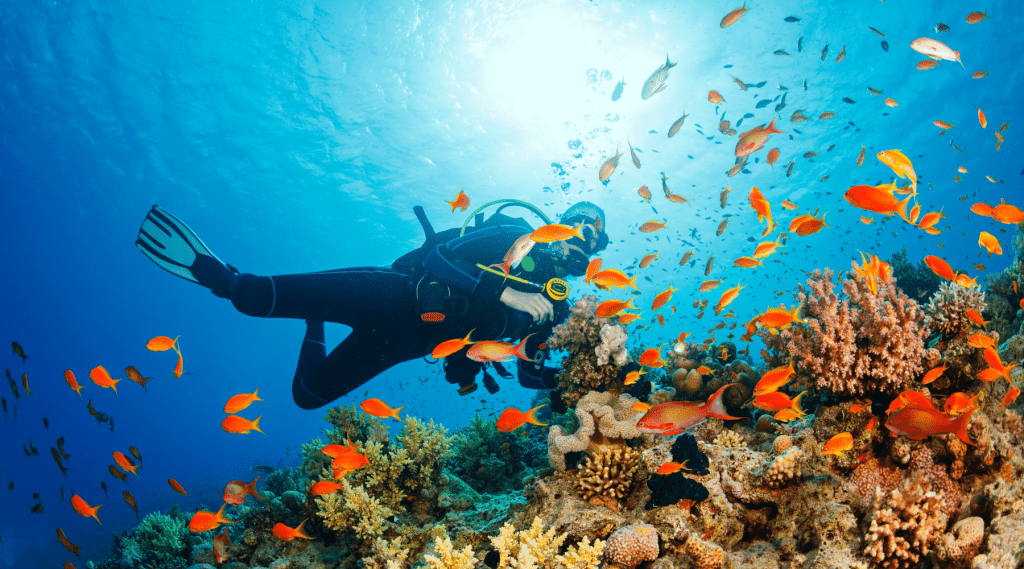 A scuba diver exploring the Andaman ocean surrounded by vibrant and colorful fish.