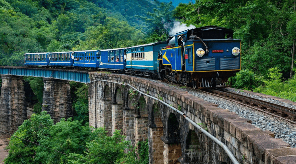A blue train crossing a jungle bridge, surrounded by lush greenery and tall trees.