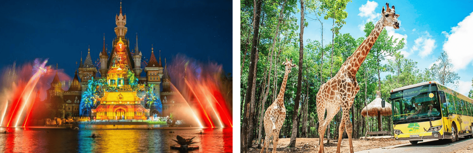 A giraffe in one image and a vibrant castle adventure park in another, showcasing wildlife and adventure side by side.