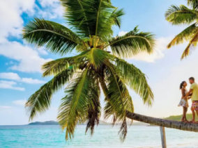 A couple enjoys a romantic moment on a tropical beach surrounded by palm trees under a clear blue sky.