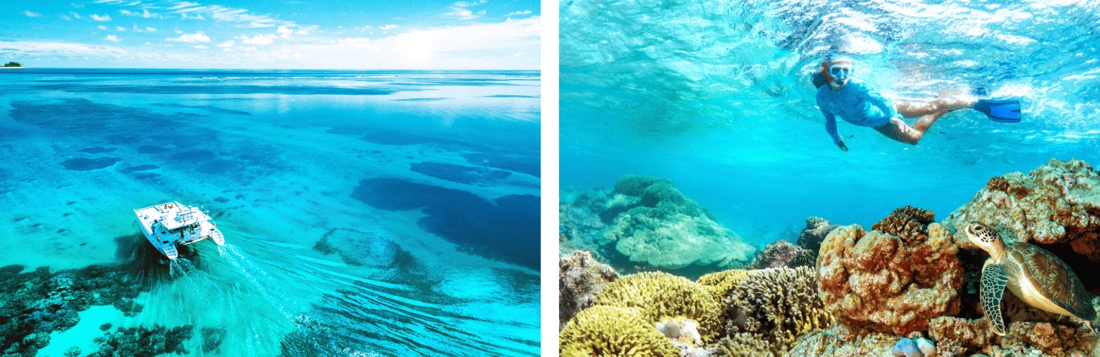 Two photos depict individuals snorkeling, with an additional image of a boat in the background.