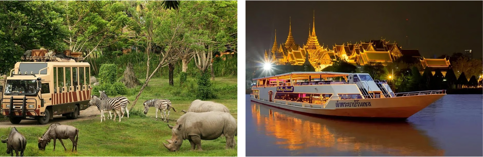 Two pictures feature a boat and a zebra, each set against the backdrop of a building, highlighting diverse subjects.