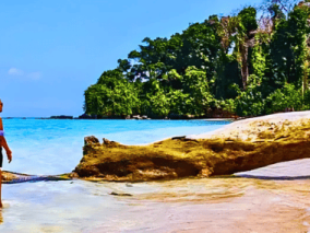 Two people stand on the beach beside a large fallen tree, with waves gently lapping at the shore in the background.