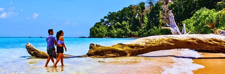 Two people stand on the beach beside a large fallen tree, with waves gently lapping at the shore in the background.